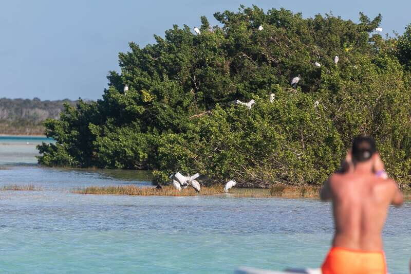 Bacalar: Full Day Kayak Rental in the Lagoon of Seven Colors - Exploring the Experience: What You Can Expect