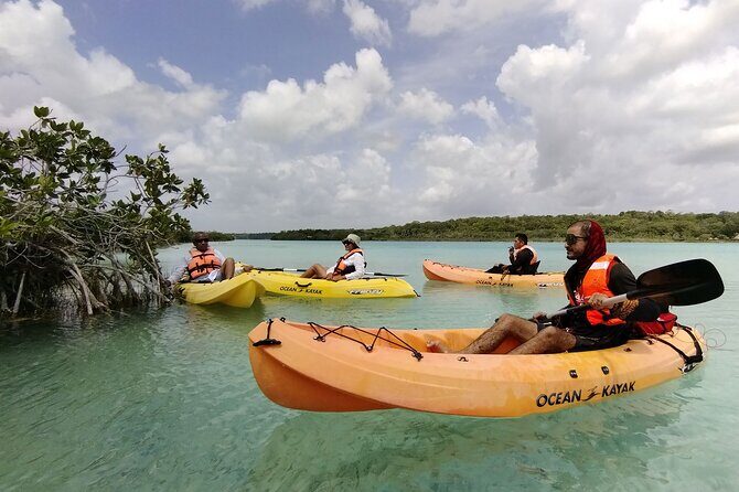Bacalar Lagoon & Kayak Tour in Club Marmol from Playa del Carmen - The Itinerary in Detail: What to Expect