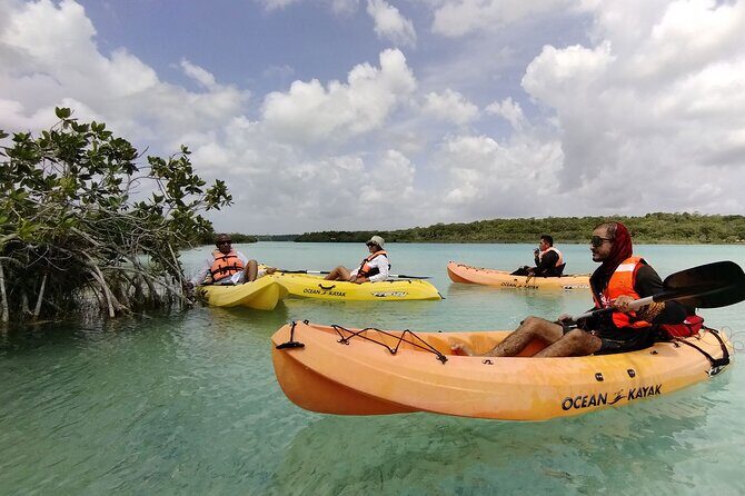 Bacalar Lagoon! Kayaks & Cenote Azul From Playa Del Carmen - Transportation & Group Size