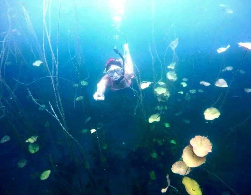 Bacalar: Magnificent Bacalar Lagoon Exclusive Boat Tour - Who Should Consider This Tour?