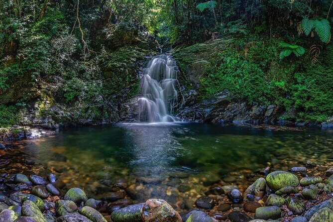 Bach Ma National Park Discovery Full Day Group Tour From Hue - A Detailed Look at the Tour Experience