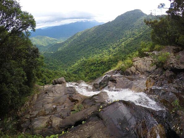 Bach Ma National Park trekking daily tour from Da Nang, Hoi An - Key Points