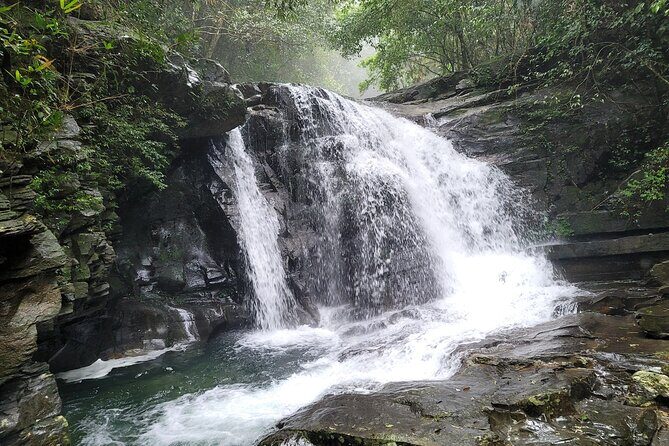 Bach Ma National Park trekking deluxe daily tour from Hue - Who is This Tour Best For?