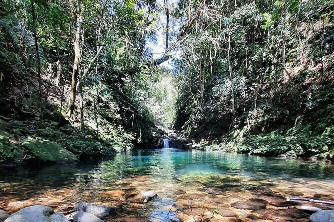 Bach Ma National Park Trekking Tour: Explore from Hue - An In-Depth Look at the Bach Ma National Park Trekking Tour