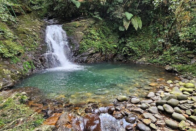 Bach Ma National Park Trekking Tour: Explore from Hue - What to Expect in Terms of Value and Comfort