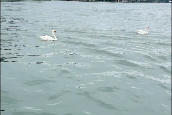 Bach Party Boat on Lake Austin 4 hours Up to 12 guests - Key Points: