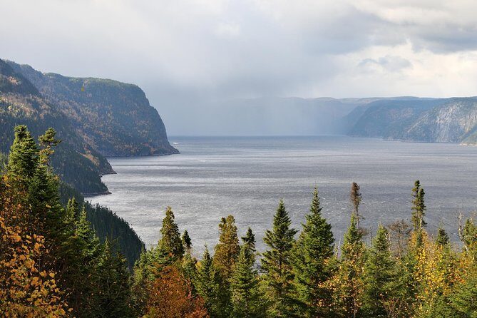 Back Country of the Fjord and the National Park - The Value of This Tour