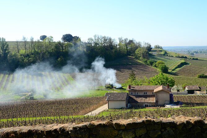 Backcountry E-Bike Adventure from Bordeaux: Wine Tasting & Lunch - Returning to Bordeaux: Reflections and Final Views