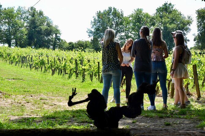 Backcountry E-Bike Adventure from Bordeaux: Wine Tasting & Lunch - Why This Tour Works Well