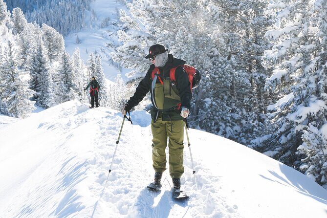 Backcountry Essentials in the Wasatch Range of Utah - Why This Tour Offers Great Value