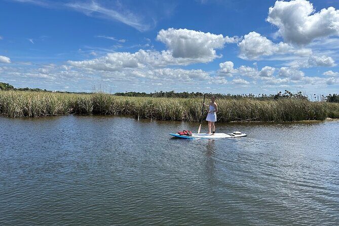 Backland Alligator Electric Paddle Tour - An In-Depth Look at the Tour Experience