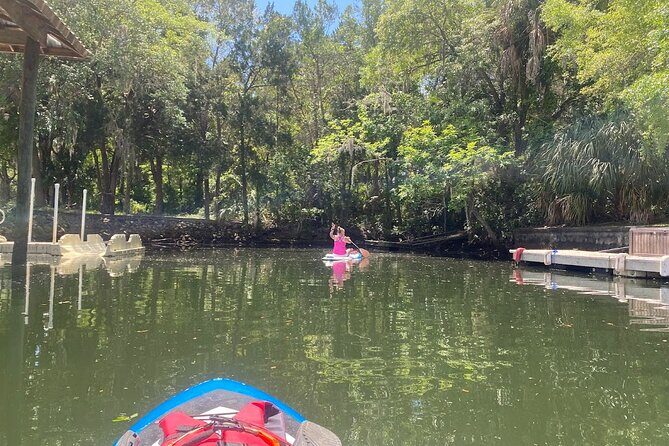 Backland Alligator Electric Paddle Tour - FAQ