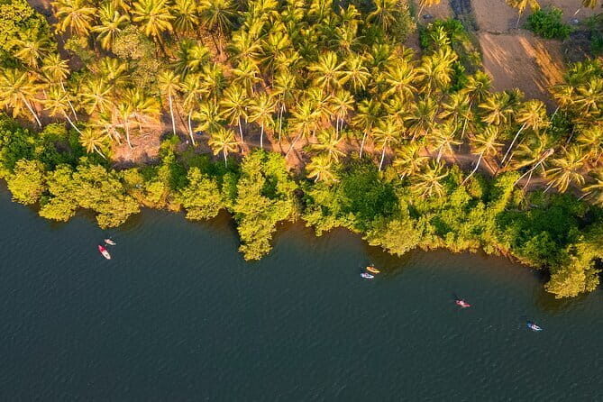 Backwater Kayaking Experience - Who Will Love This Kayaking Tour?