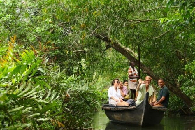 Backwater Tour from Cochin - The Experience: What to Expect