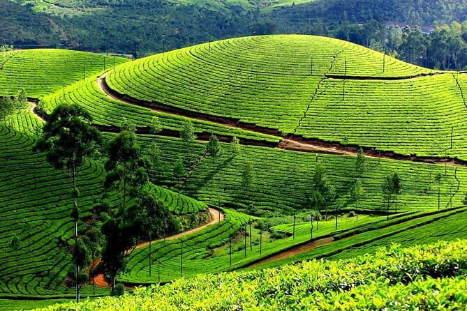Backwater Tour from Cochin - FAQ