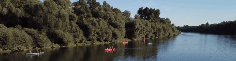 Bad Bellingen: Beginners Canoe Tour on the Altrhein - An In-Depth Look at the Canoe Tour