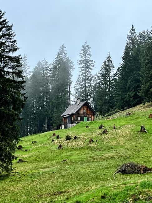 Bad Goisern: Caving & Scenic Hiking Adventure - A Deep Dive into the Experience