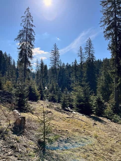 Bad Goisern: Caving & Scenic Hiking Adventure - Final Thoughts