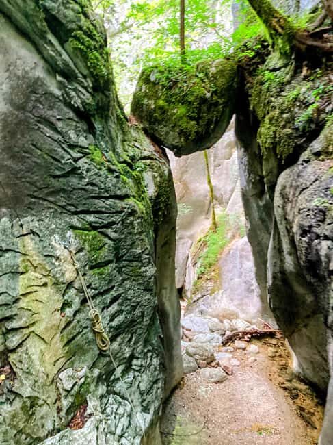 Bad Ischl: Canyoning Tour With Epic Rappels in Salzkammergut - Who Will Love This Tour?