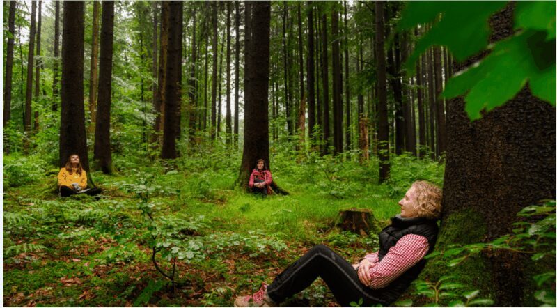 Bad Wörishofen: Shinrin-Yoku  Forest Bathing - An In-Depth Look at the Forest Bathing Experience in Bad Wörishofen