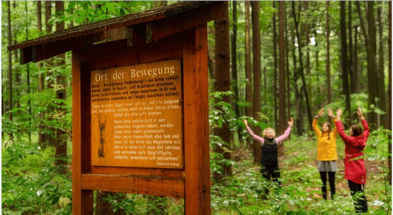 Bad Wörishofen: Shinrin-Yoku  Forest Bathing - Who Will Love This Experience?