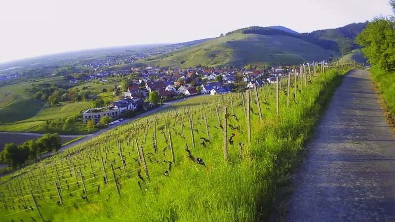 Baden-Baden: Private e-Mountainbike Tour with local Guide - What to Expect from the Baden-Baden e-Mountainbike Tour