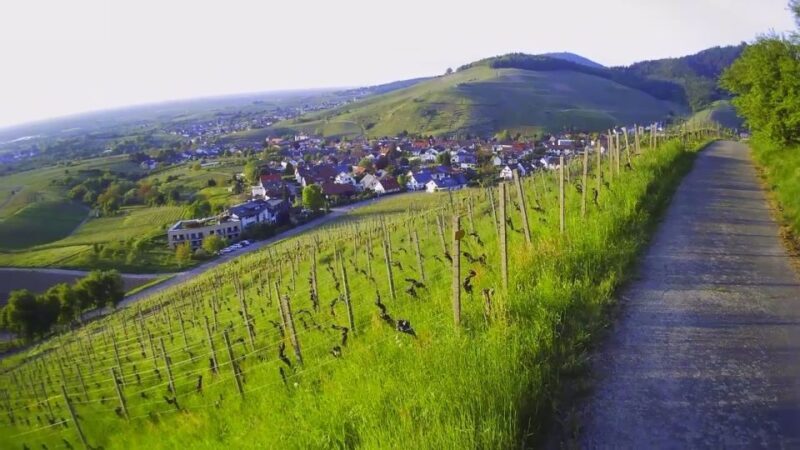 Baden-Baden: Private Guided KNUMO e-Scooter Tour VIP - FAQ