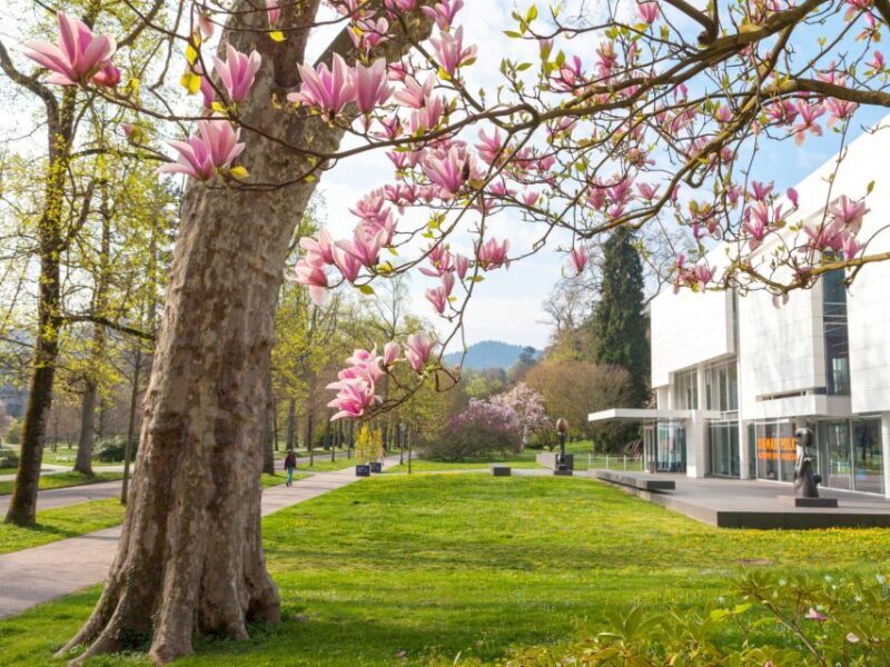 Baden-Baden: Sightseeing Highlights Guided Walking Tour - A Deep Dive into the Baden-Baden Guided Walking Tour