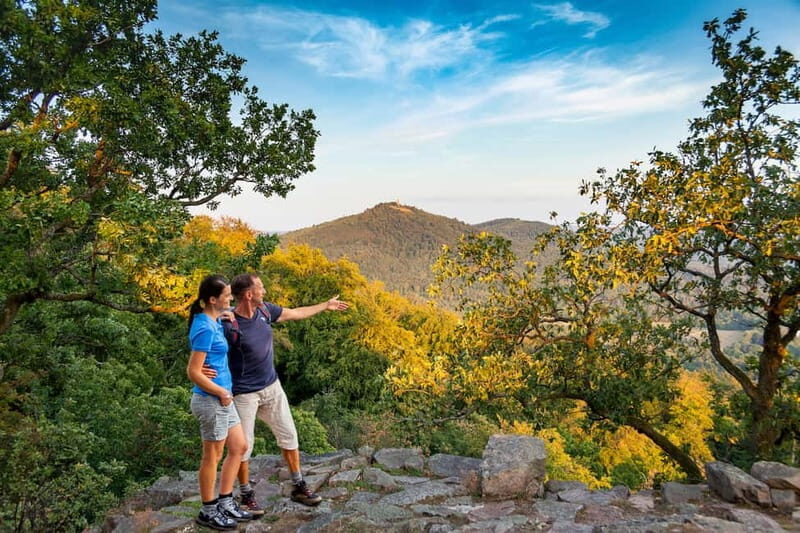 Baden-Baden: Wanderung mit dem Schwarzwald-Guide - Detailed Review of the Baden-Baden Black Forest Hike
