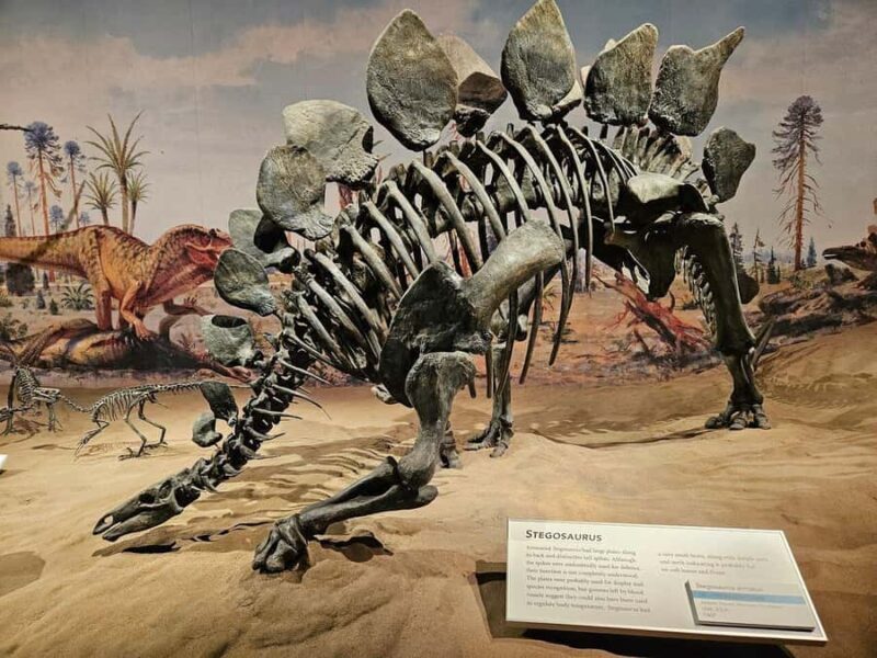 Badlands Tour: Drumheller with Museum, Hoodoos & Dinosaurs - Who Will Love This Tour?