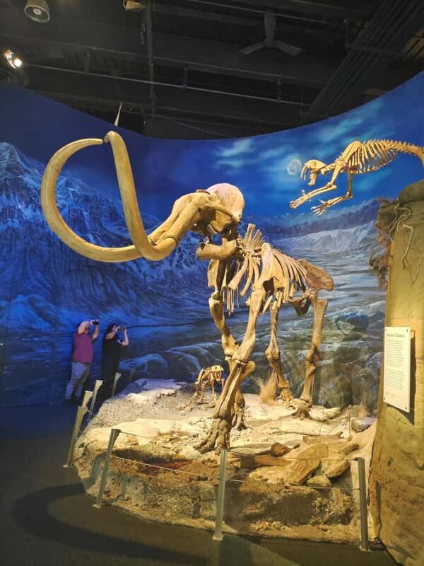 Badlands Tour: Drumheller with Museum, Hoodoos & Dinosaurs - Final Thoughts