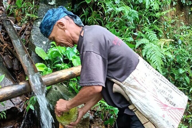 Baduy Tribal Tracker and Village in Private Tour Full Day & Lunch - The Itinerary: A Deep Dive into the Day