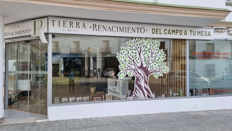 Baeza: Visit to an Organic Olive Grove + Oil Tasting - Who Would Love This Tour?