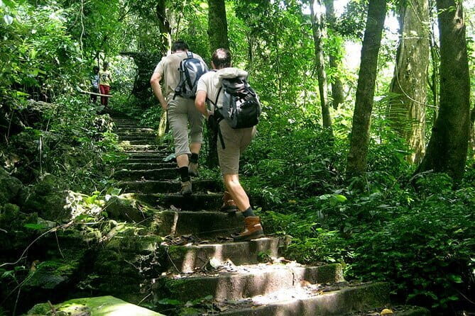 Bai Dinh, Trang An, Mua Cave, Cuc Phuong National Park 2 Day Tour - Key Points
