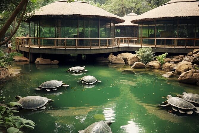 Bai Dinh, Trang An, Mua Cave, Cuc Phuong National Park 2 Day Tour - Transportation and Comfort