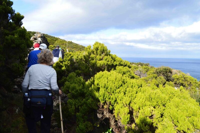 Baías de Agualva hiking - Terceira island - Authentic Experiences and Genuine Reviews