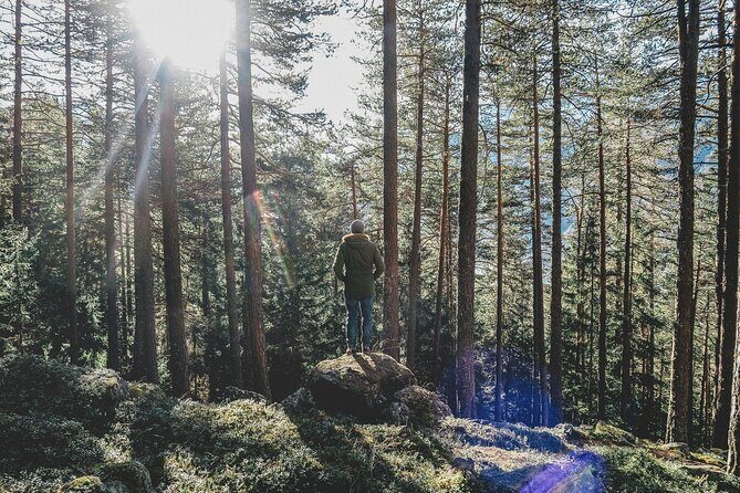 Bainbridge Island Serenity Forest Hike & Cultural Landmarks Tour - Exploring the Itinerary in Depth