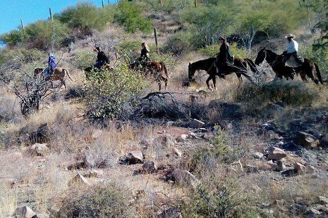 Baja Desert Horseback Riding Tour - Exploring the Itinerary in Detail