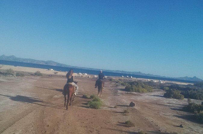 Baja Desert Horseback Riding Tour - Why We Think This Tour Stands Out