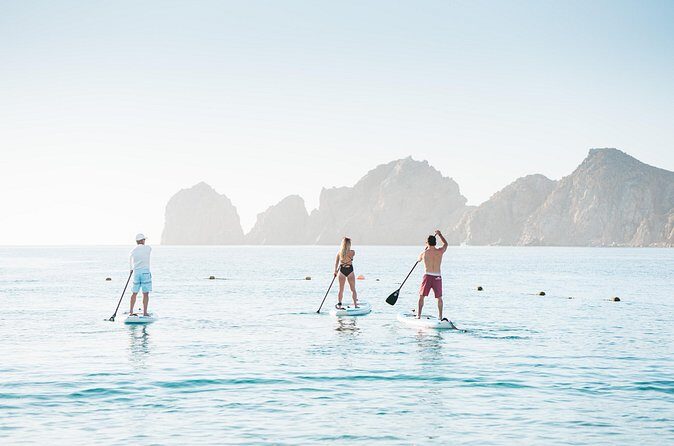 Baja Stand-Up Paddleboard Rental in Medano Bay - The Experience Provider: CABO SUP