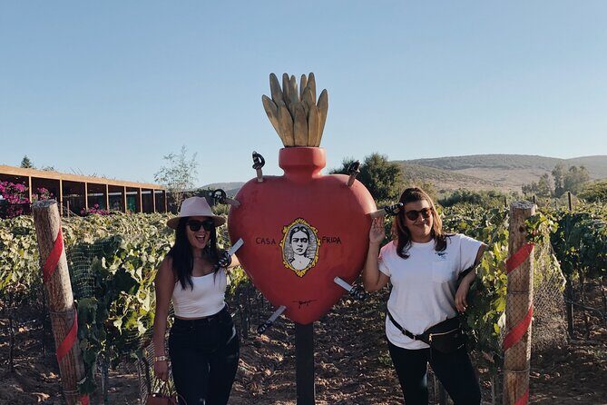 Baja Tour Guide wine tour - Exploring the Itinerary in Detail