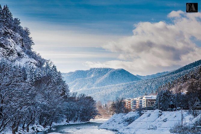 Bakuriani-Borjomi full day trip - Who Will Love This Tour?