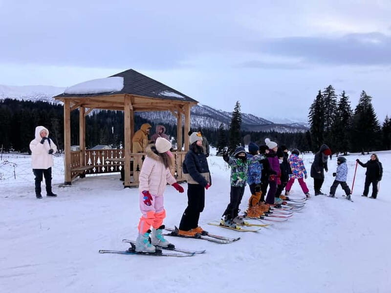 Bakuriani: Private or group Ski Lesson - Exploring the Bakuriani Ski Experience
