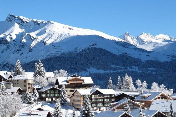 Bakuriani ski resort and the legendary Borjomi (Group Tour) - A Detailed Look at the Tour Experience