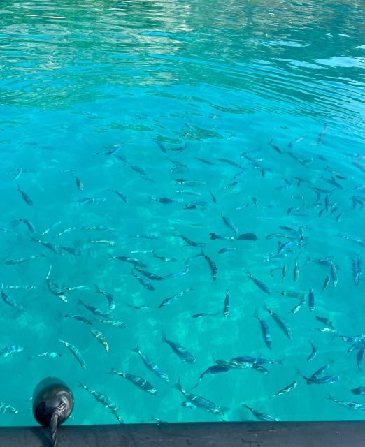 Balade en mer de Villefranche sur Mer & stop baignade - FAQs