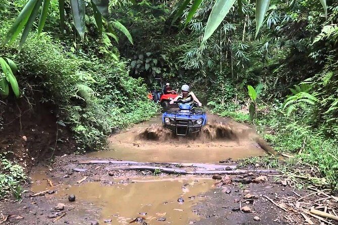 Balaji Adventure Bali Quad Bike - Single Bike 250cc - What to Expect from the Bali Quad Bike Experience
