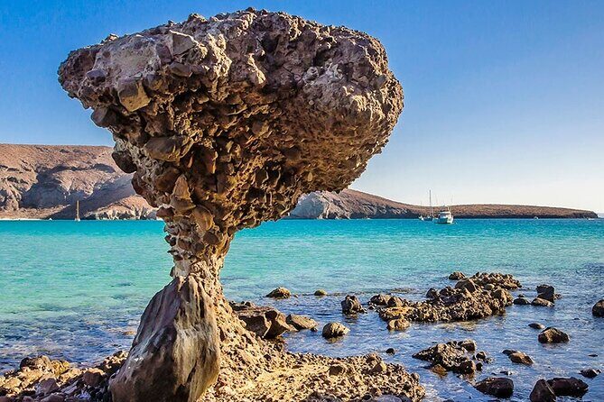 Balandra and La Paz Todos Santos and Hotel California from Los Cabos - Is the Tour Worth the Price?