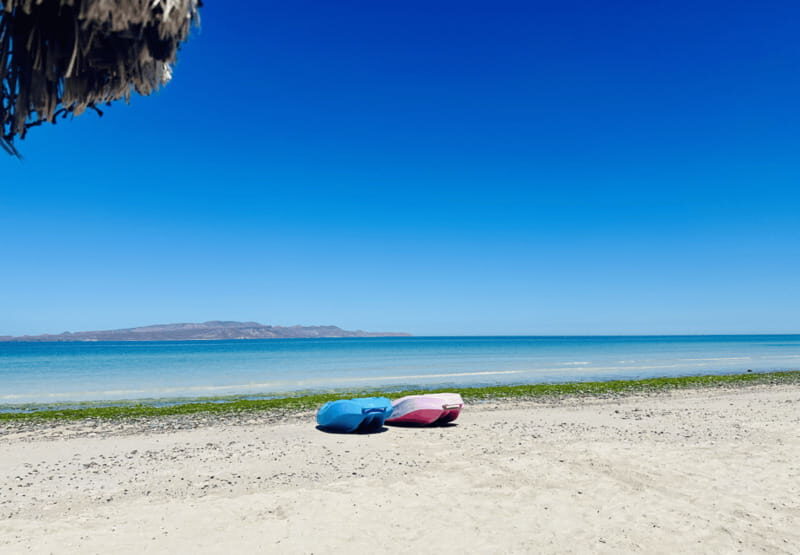 Balandra and Tecolote Beaches Day Trip with Lunch - A Tour of Baja’s Most Famous Beaches