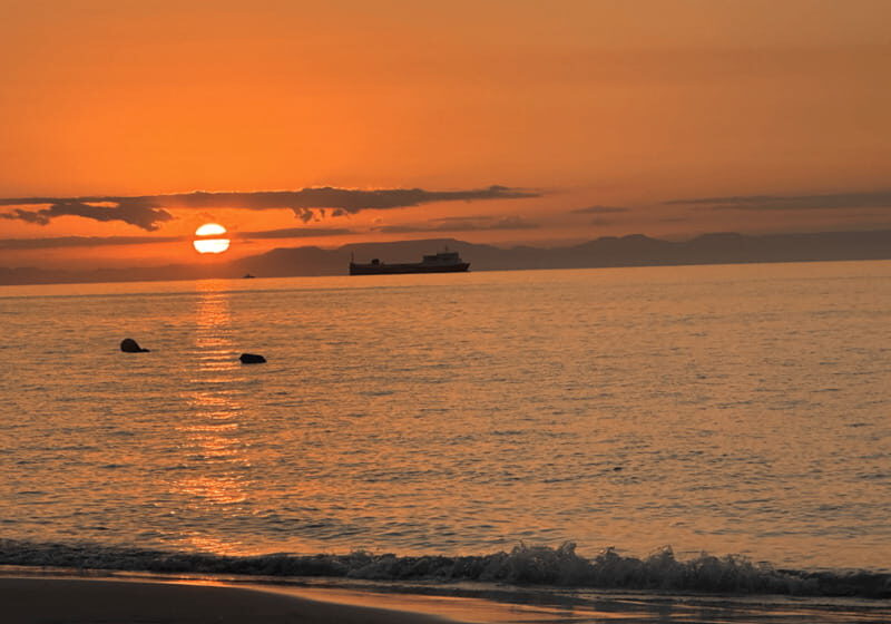 Balandra and Tecolote Beaches Day Trip with Lunch - Final Thoughts