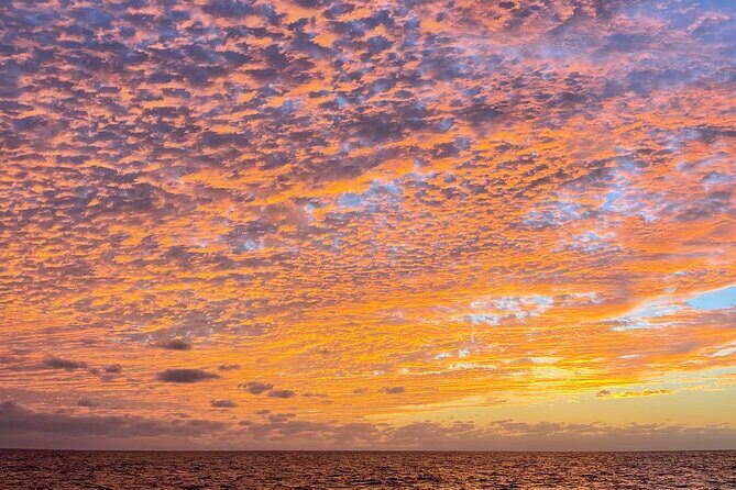 Balandra Beach and Sea Lions Private Tour - FAQs about the Balandra Beach and Sea Lions Private Tour